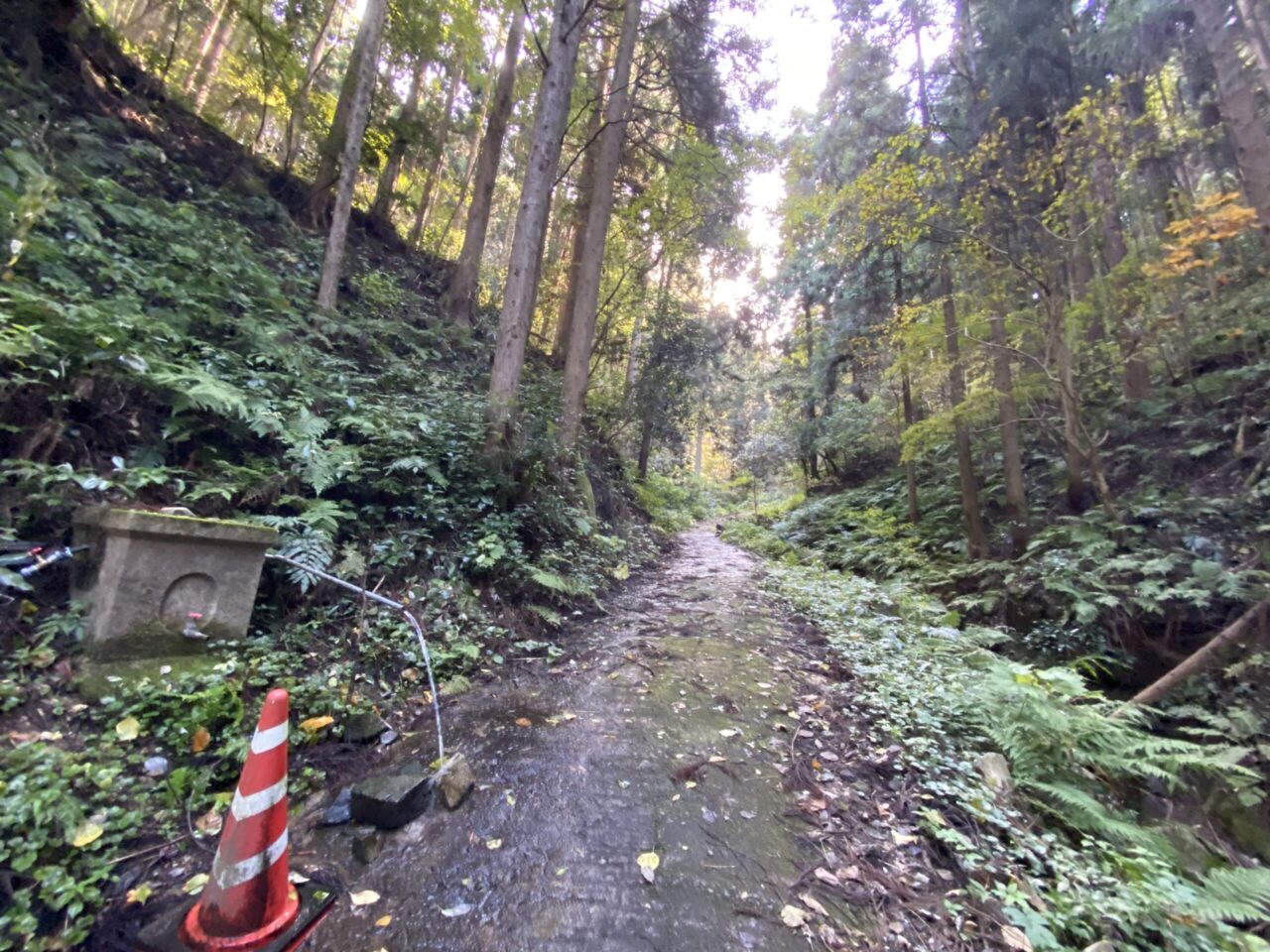 金持神社の裏手